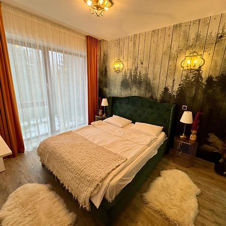 Luxury Silver Mountain Apartment 포이아나브라소프 외부 사진