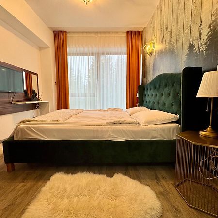 Luxury Silver Mountain Apartment 포이아나브라소프 외부 사진