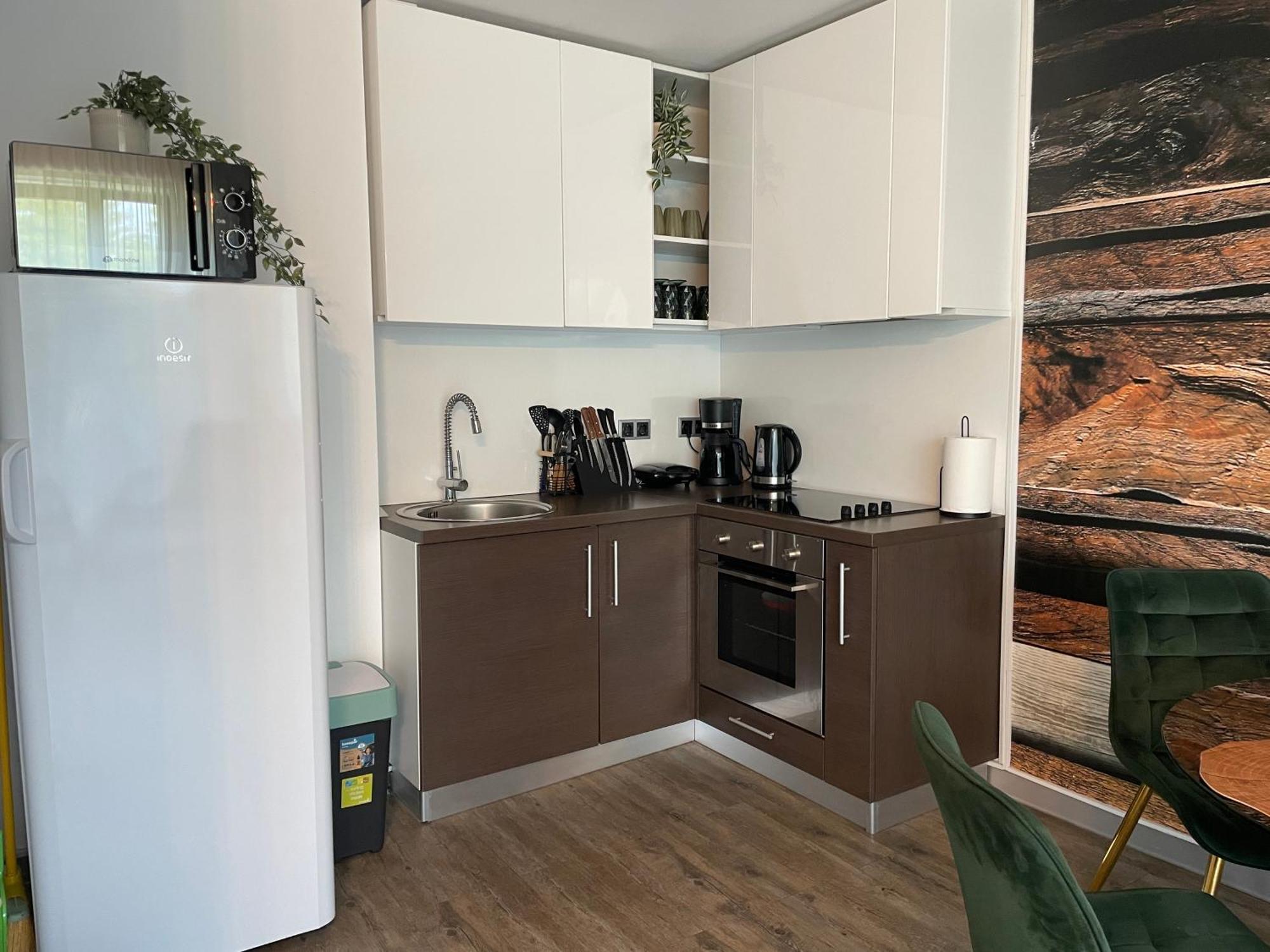 Luxury Silver Mountain Apartment 포이아나브라소프 외부 사진