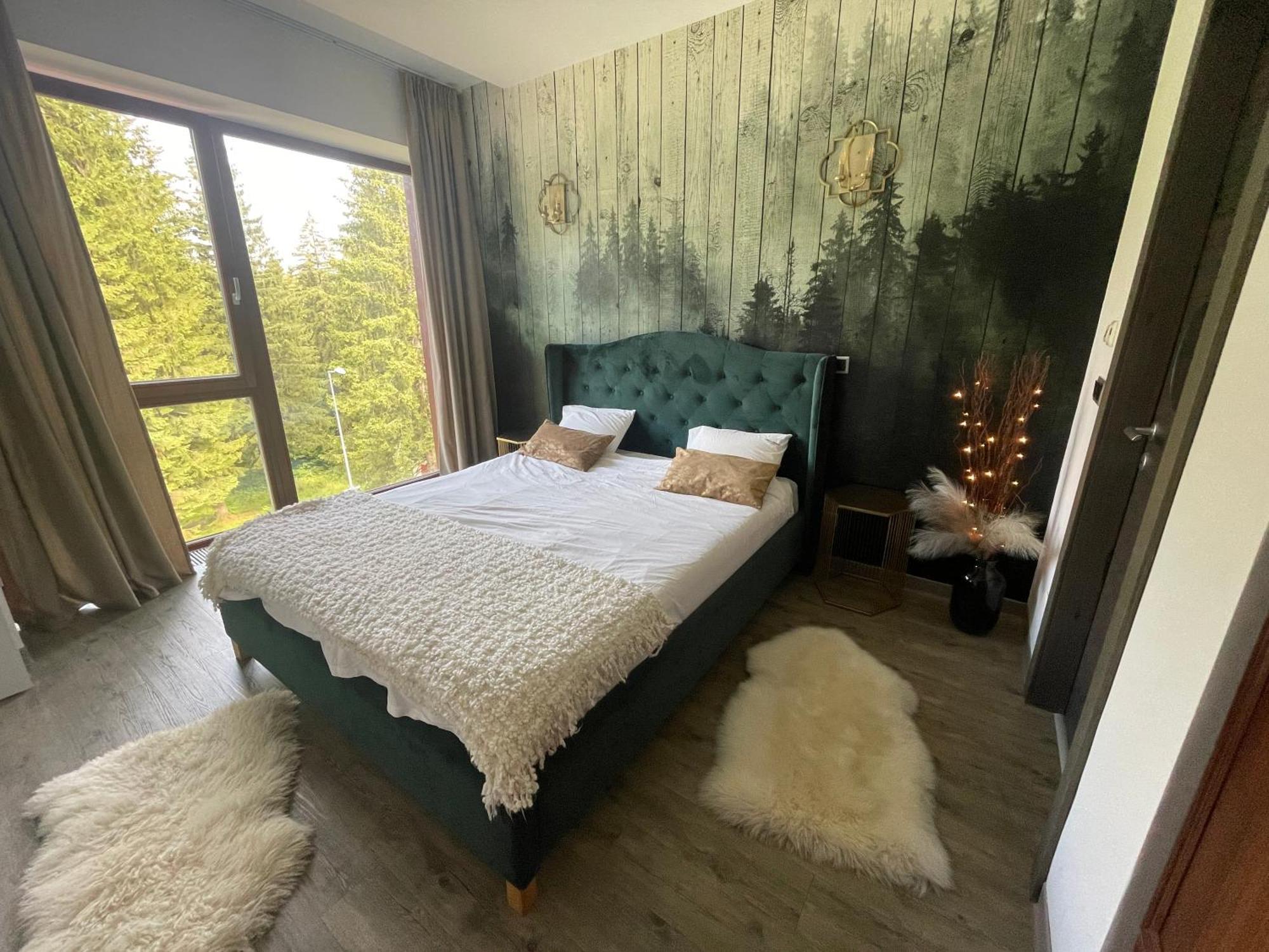 Luxury Silver Mountain Apartment 포이아나브라소프 외부 사진